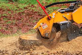Best Soil Testing and Treatment  in West New York, NJ