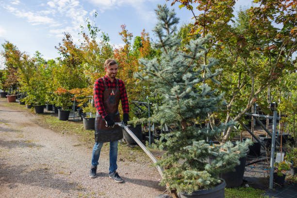 Best Seasonal Cleanup (Spring/Fall)  in West New York, NJ